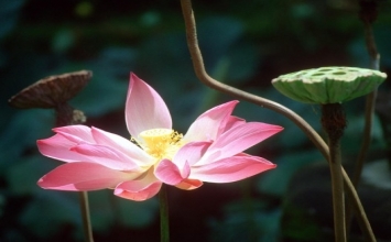 Để mọi người đều tiến bước 